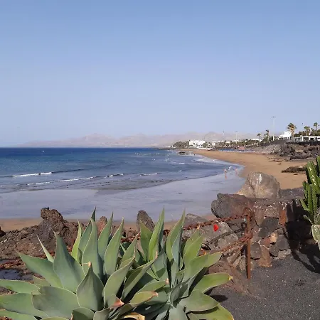 Tabaibas プエルト・デル・カルメン